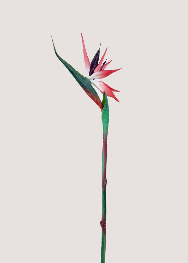 Main image of artificial Bird of Paradise flower stem in red and green