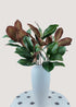Artificial magnolia bouquet with green and brown leaves and buds
