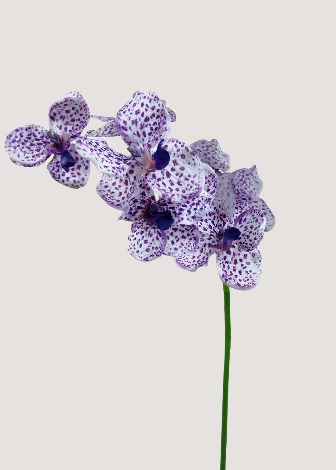 Artificial purple spotted orchid stem with realistic petals