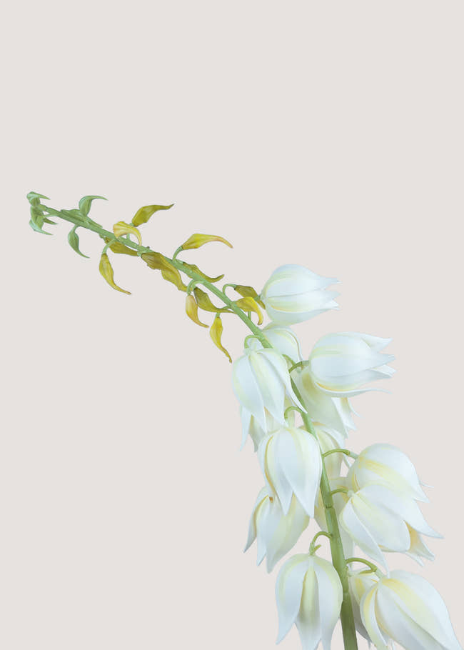 Close-up of real touch faux yucca bell flowers in soft white