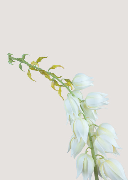 Close-up of real touch faux yucca bell flowers in soft white