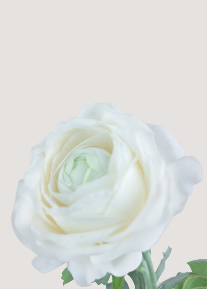 Close-up of real touch artificial ranunculus petals