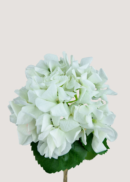 Close-up of real touch white artificial hydrangea petals