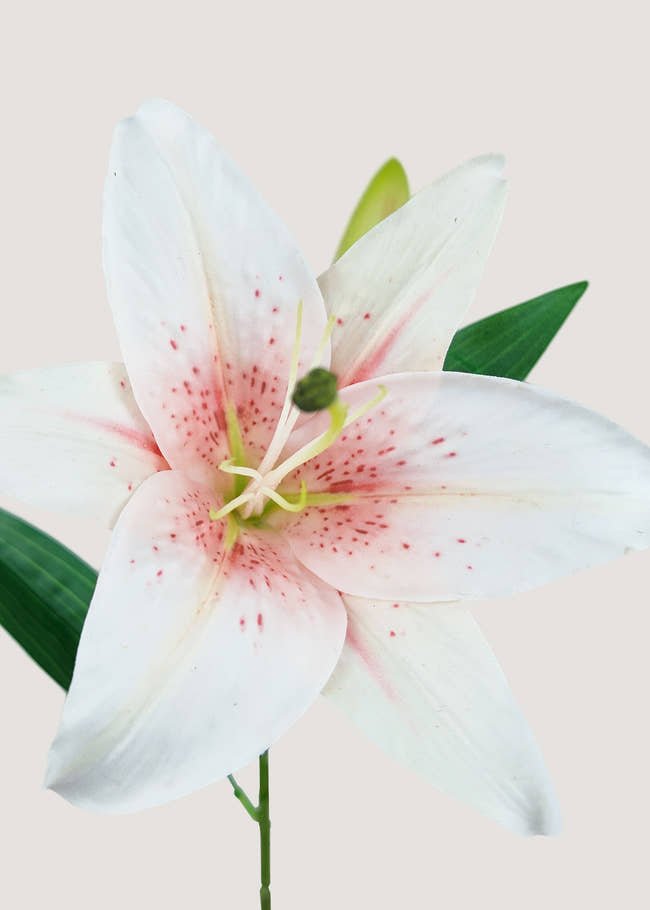 Close up of realistic white and pink artificial lily petals