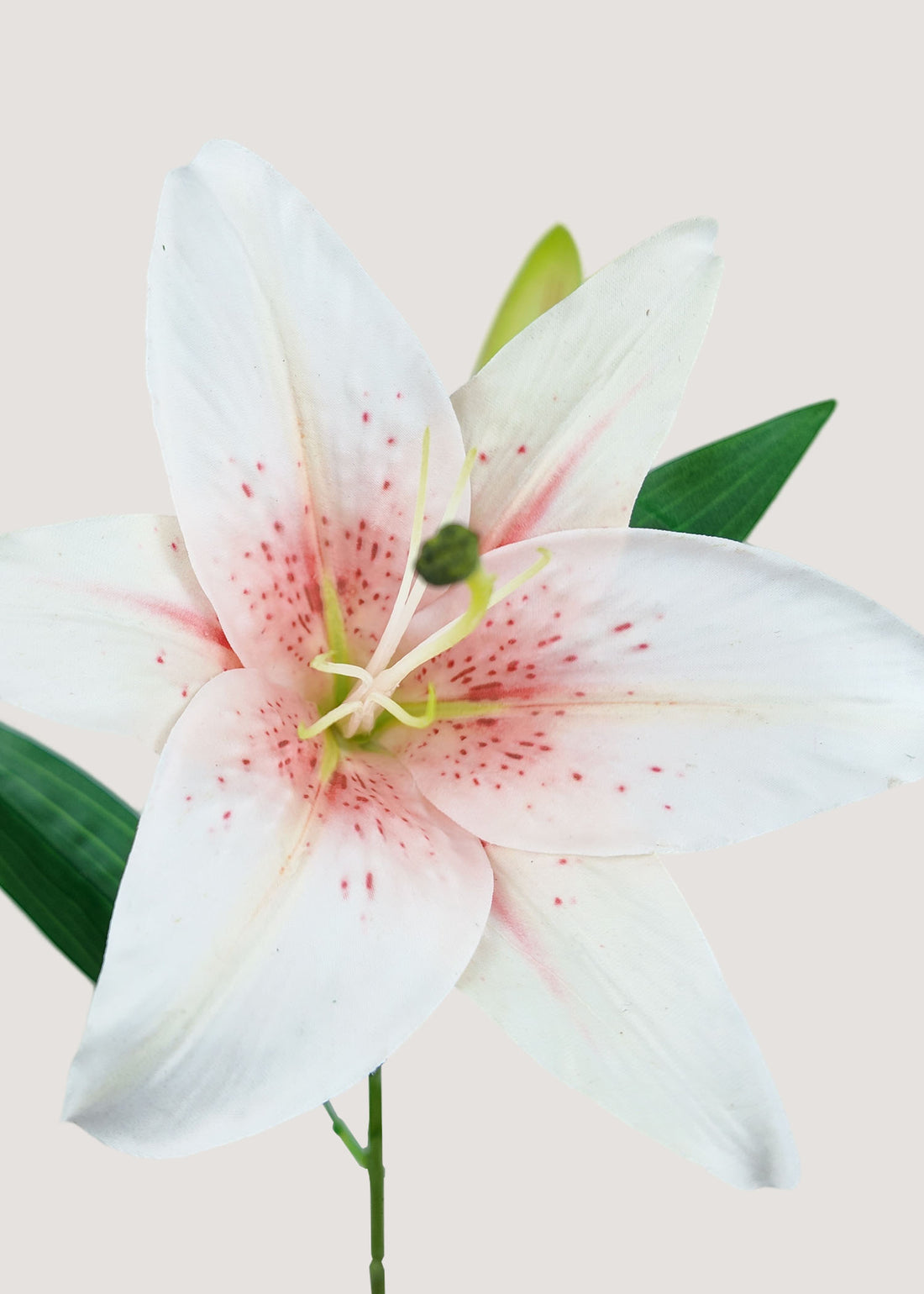 Close up of realistic white and pink artificial lily petals