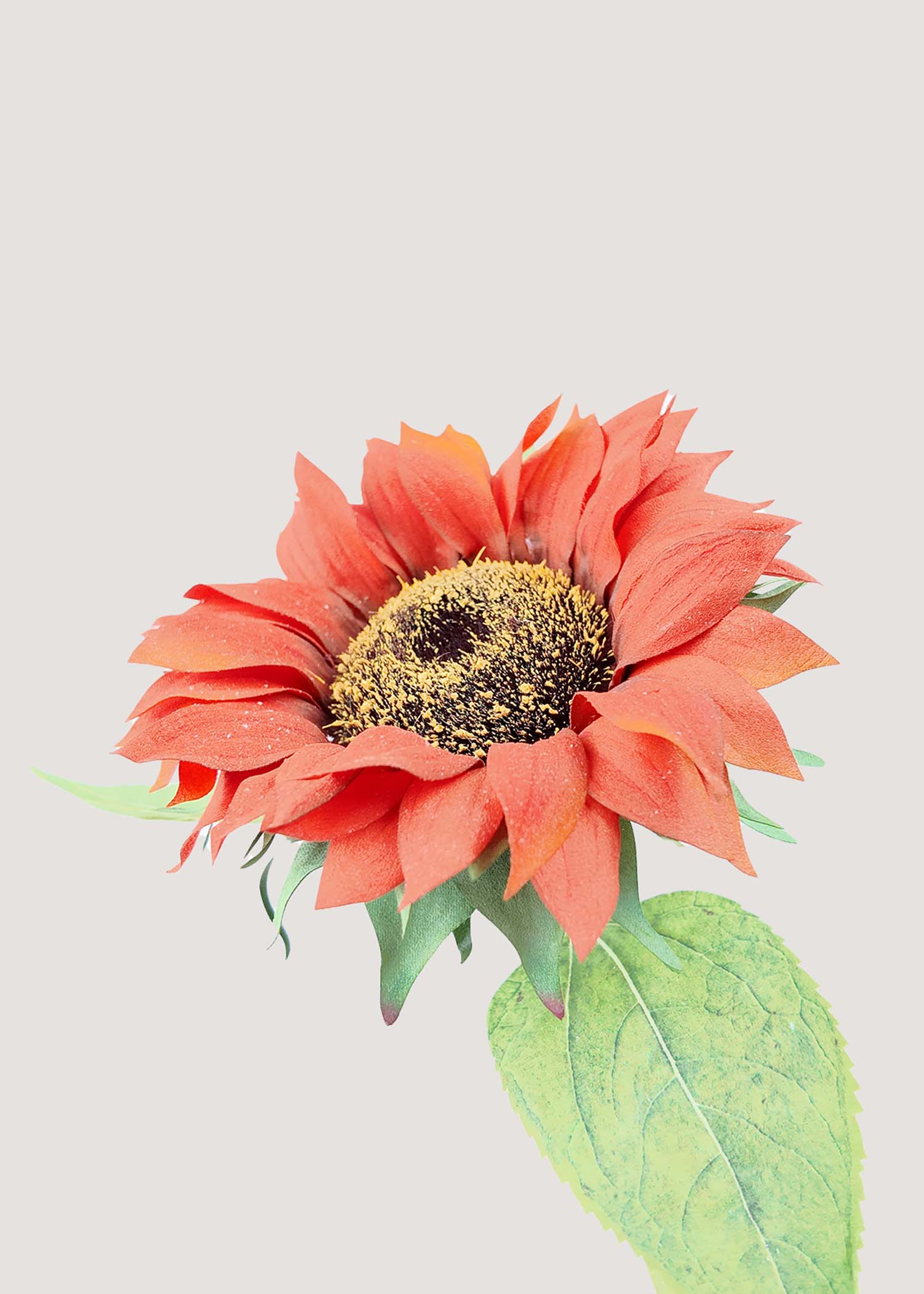 Close-up detail of realistic burnt orange sunflower petals and center