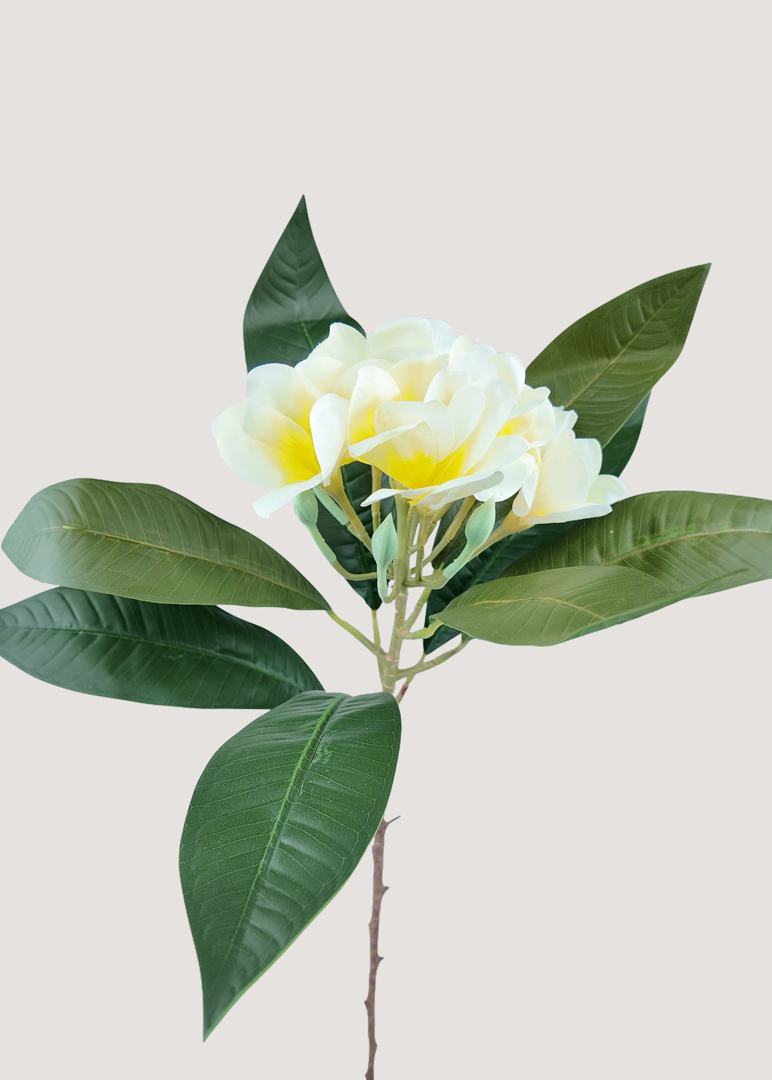 Close-up detail of artificial plumeria petals and yellow flower center