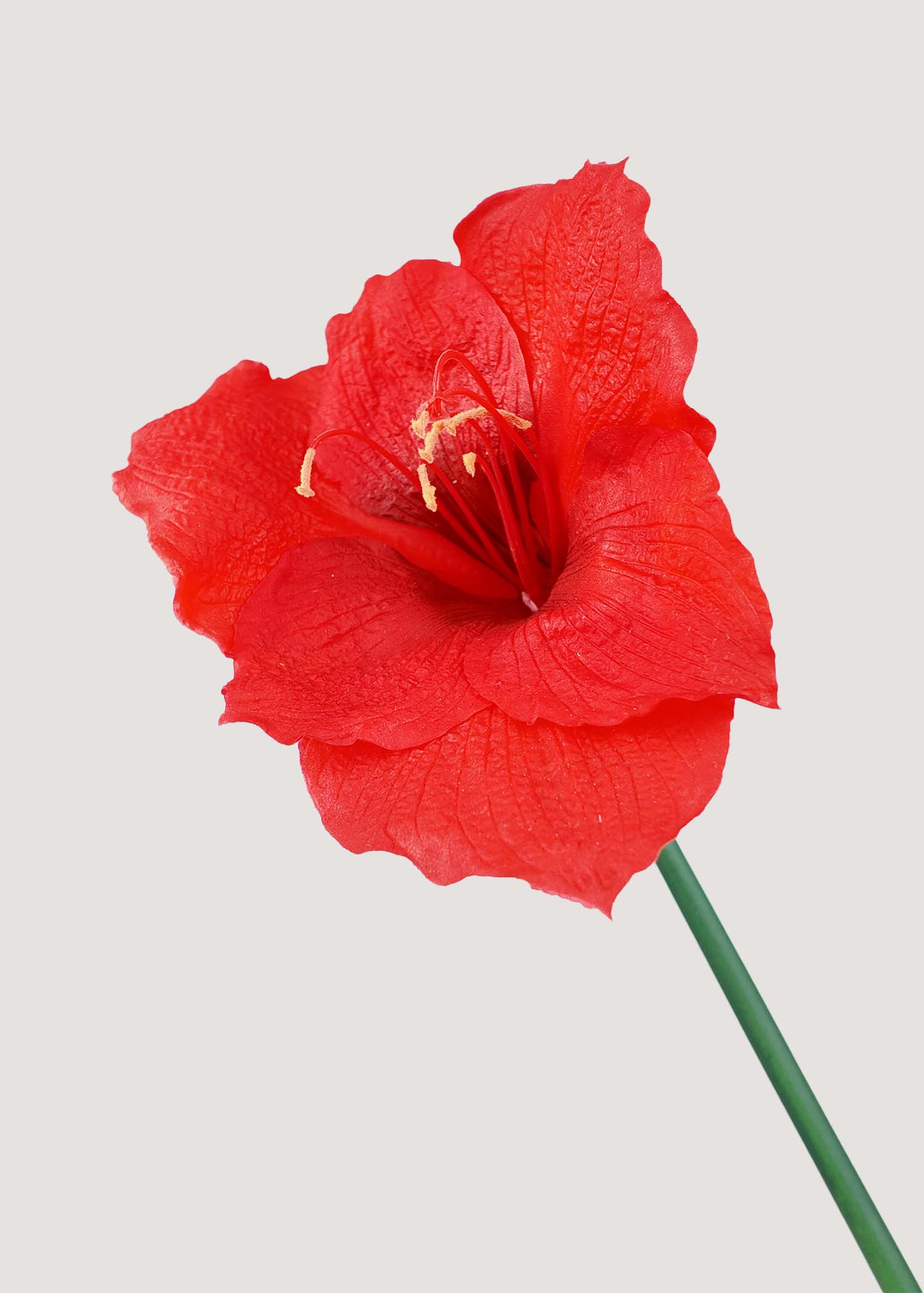 Close-up detail of realistic faux amaryllis flower petals and stamens
