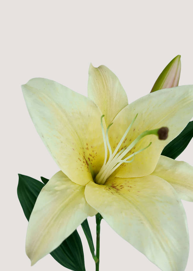 Close up of realistic yellow artificial lily petals and stamens