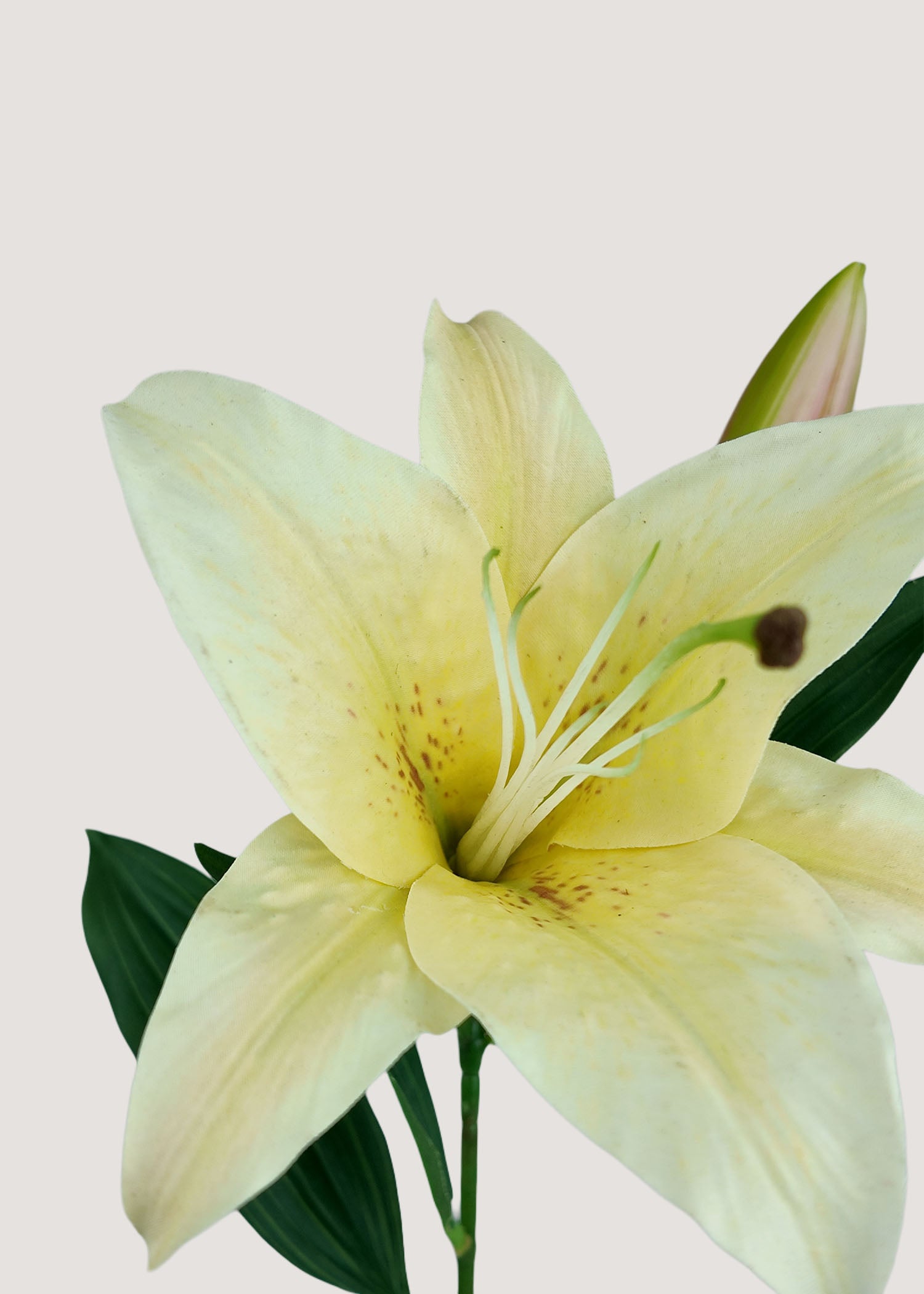 Close up of realistic yellow artificial lily petals and stamens