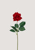 Red artificial rose stem with realistic bloom and green leaves