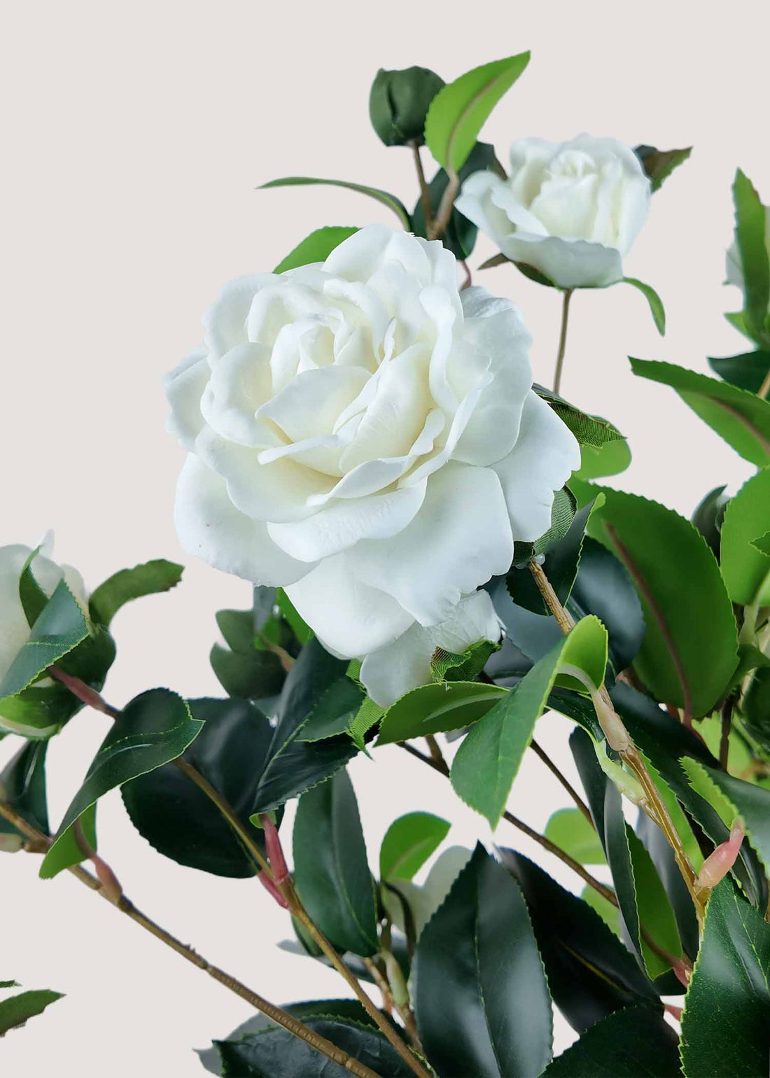Close-up of artificial camellia blooms and real touch petals