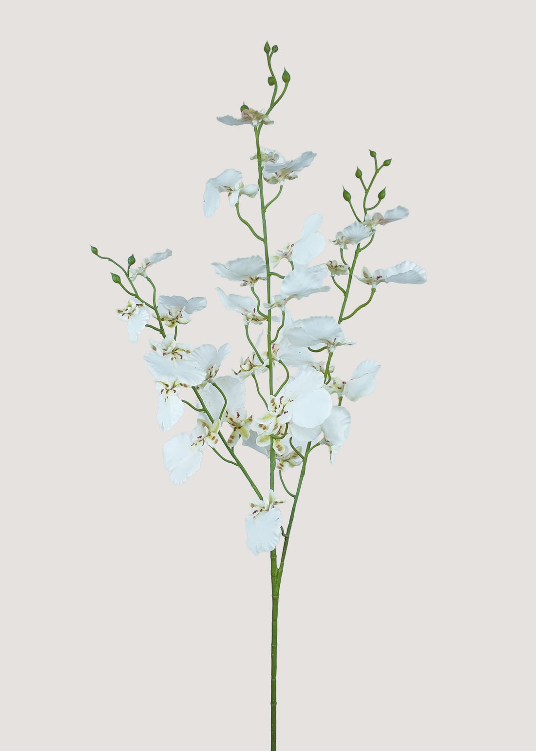 White Artificial Dancing Orchid Spray Main Image