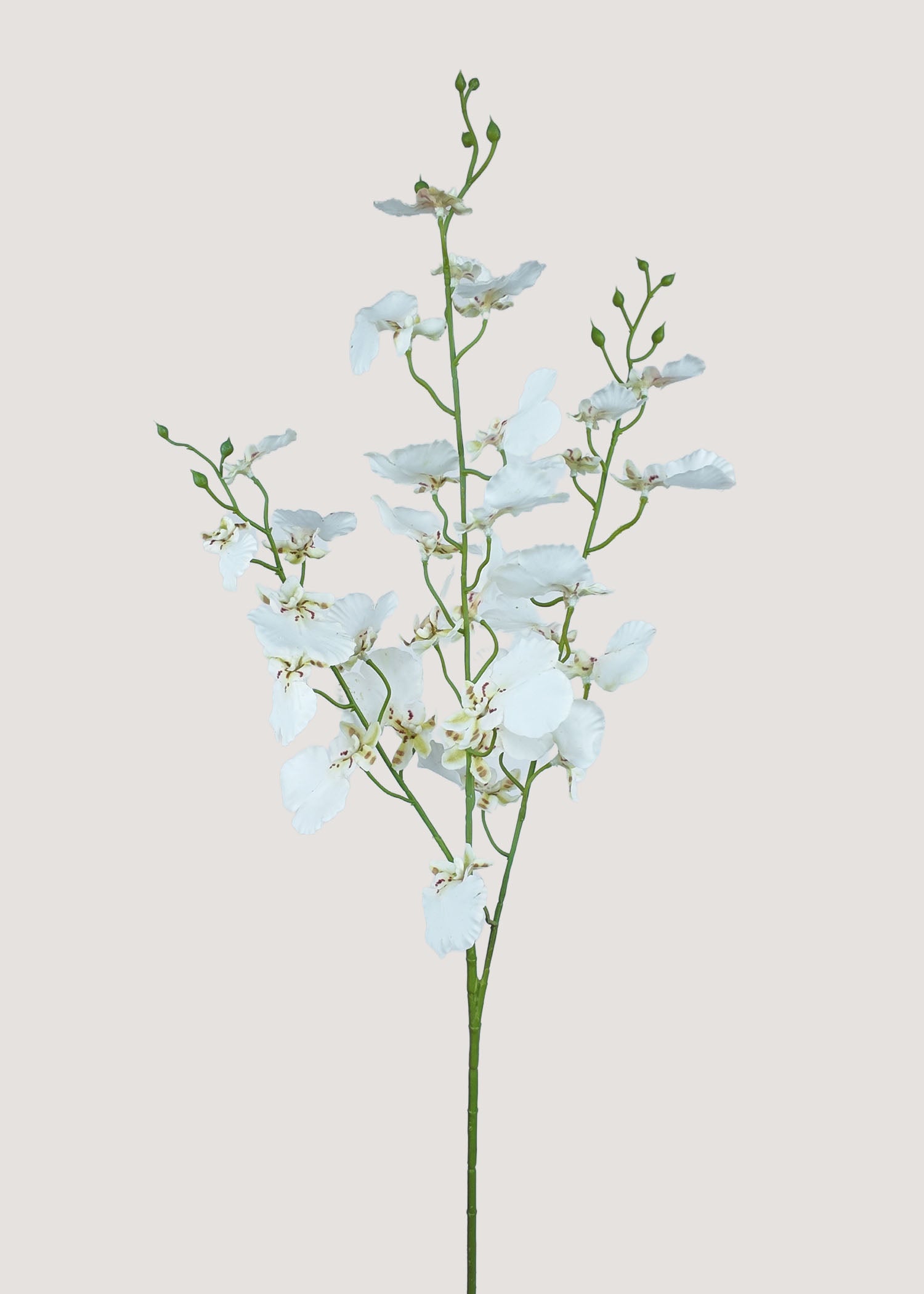 White Artificial Dancing Orchid Spray Main Image