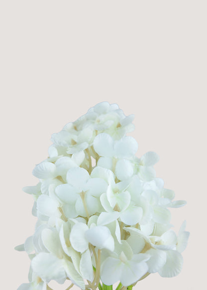 White artificial hydrangea paniculata stem with lifelike clustered blooms by Everblooma