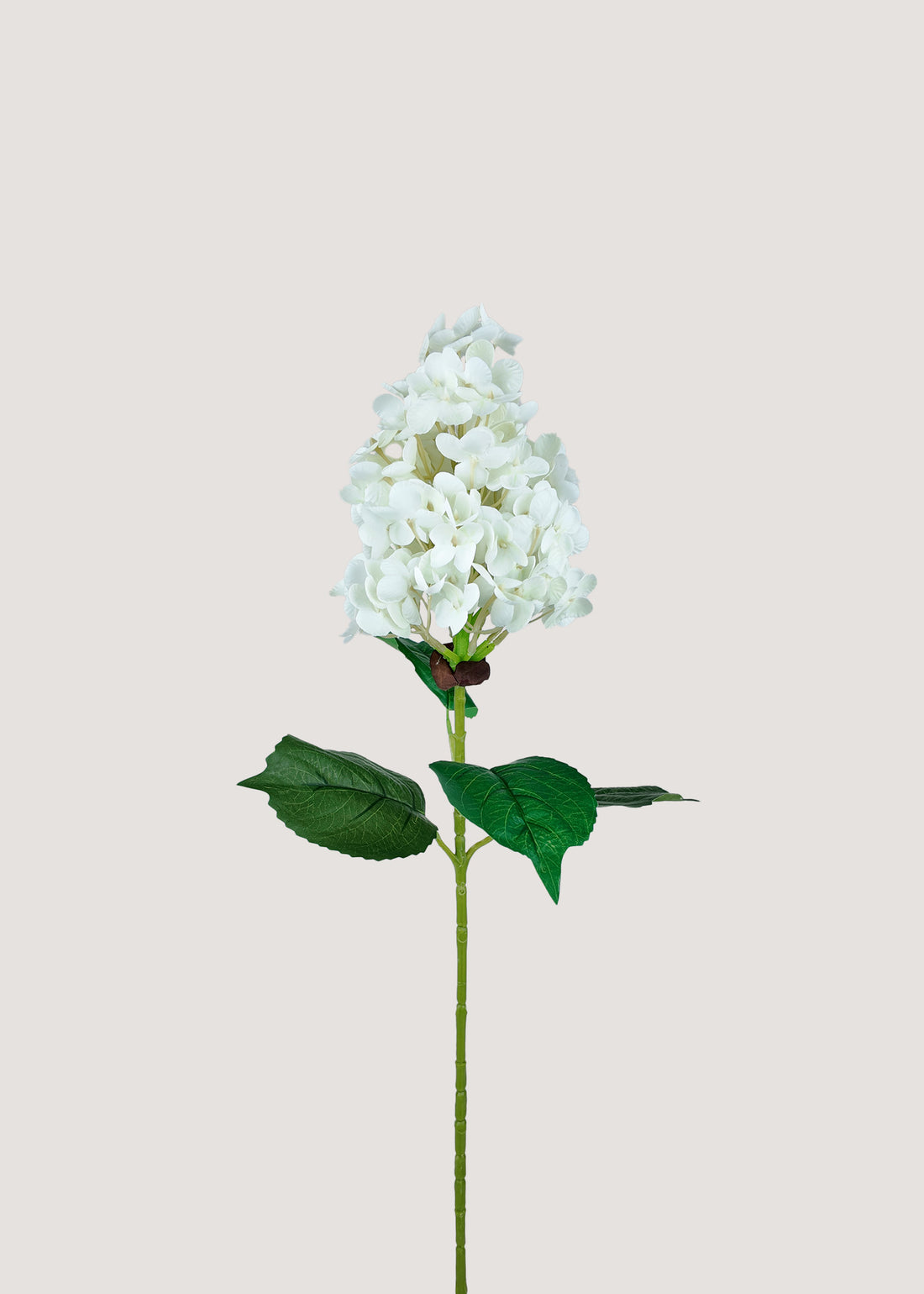 White artificial hydrangea paniculata stem with lifelike clustered blooms by Everblooma