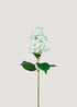 White artificial hydrangea paniculata stem with lifelike clustered blooms by Everblooma