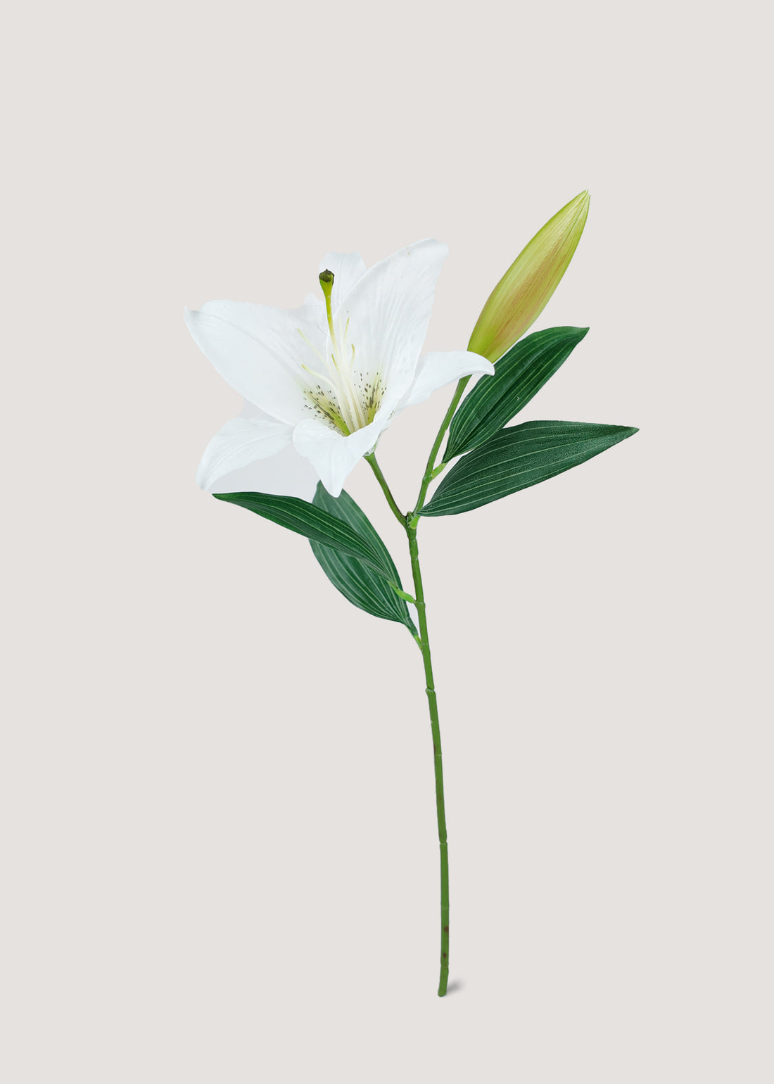 Real touch white artificial lily stem with lifelike petals and green leaves by Everblooma