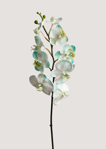 White green artificial orchid stem realistic faux phalaenopsis flower for home decor