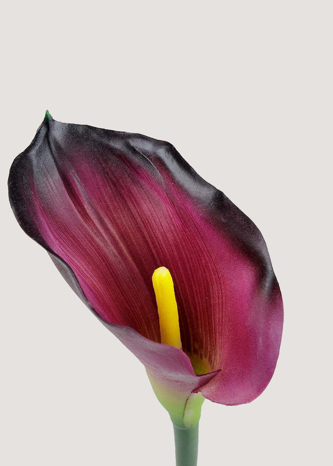 Real touch wine purple artificial calla lily stem for home décor and floral arrangements