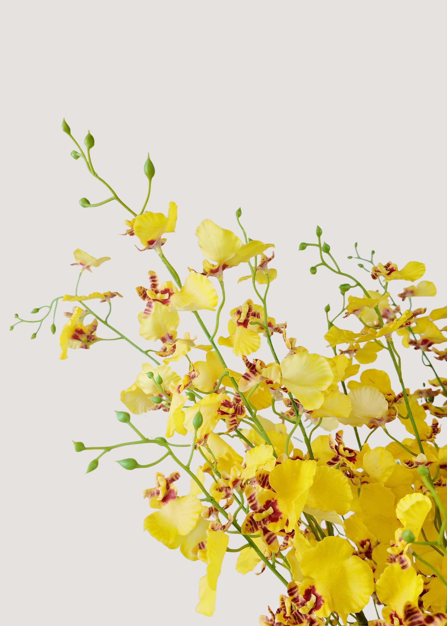 Closeup of lifelike faux yellow orchid flowers with real touch petals